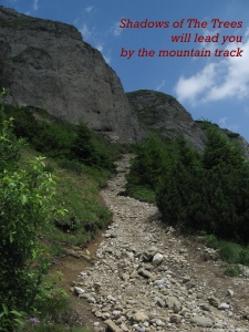 The mountain track