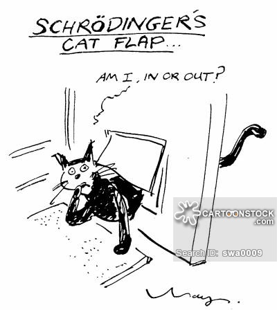 Schrodinger's Cat Flap, "Am I in or out?"